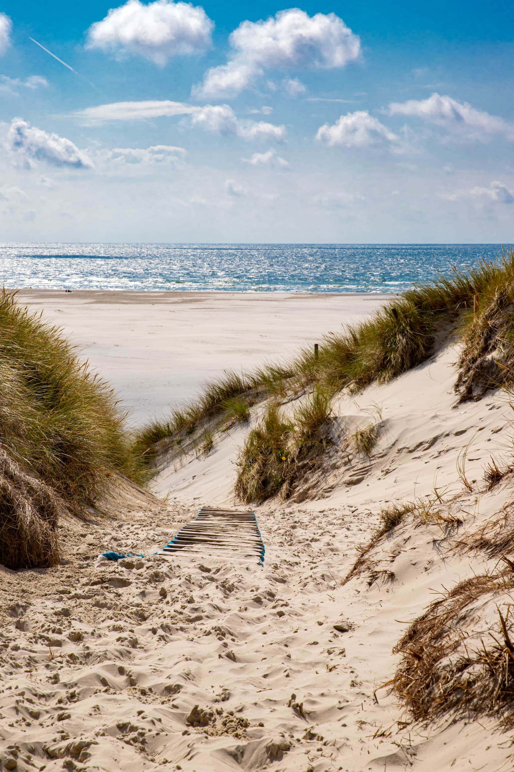 Schöne Strände in Europa: Strand in Amrum, Deutschland