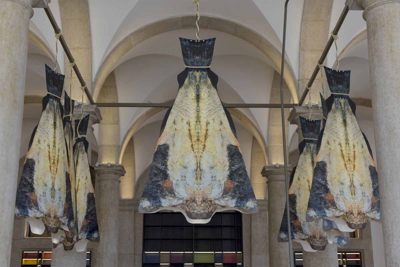 Museum História do Bacalhau in Lissabon 