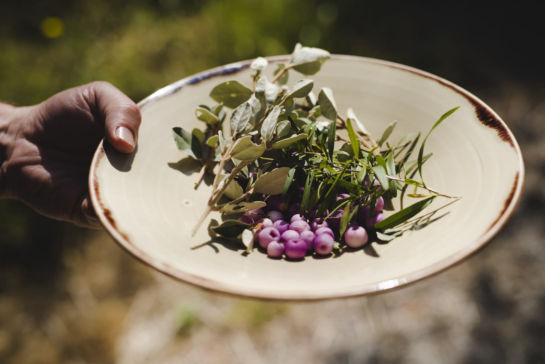 Kräuter und Beeren, die im Bish Food in Victoria verwendet werden