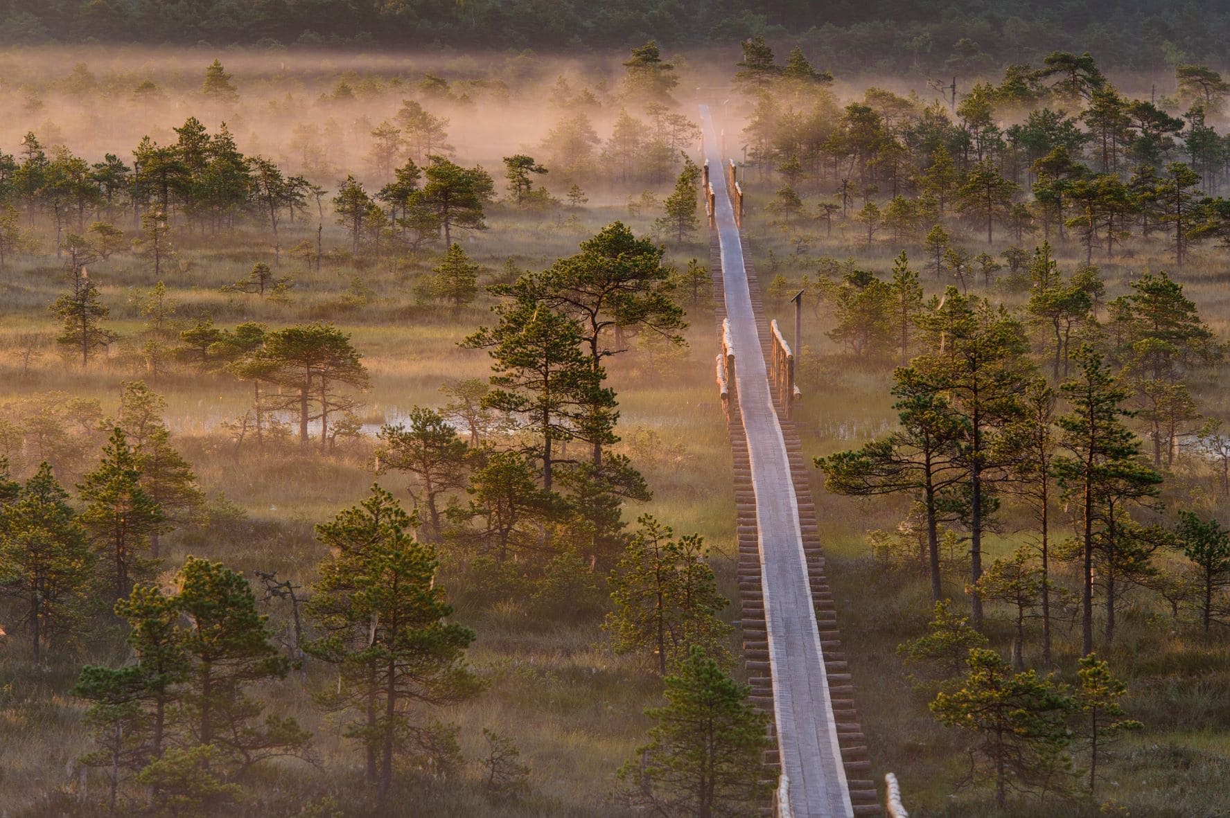 Männijärve Moor in Järvamaa