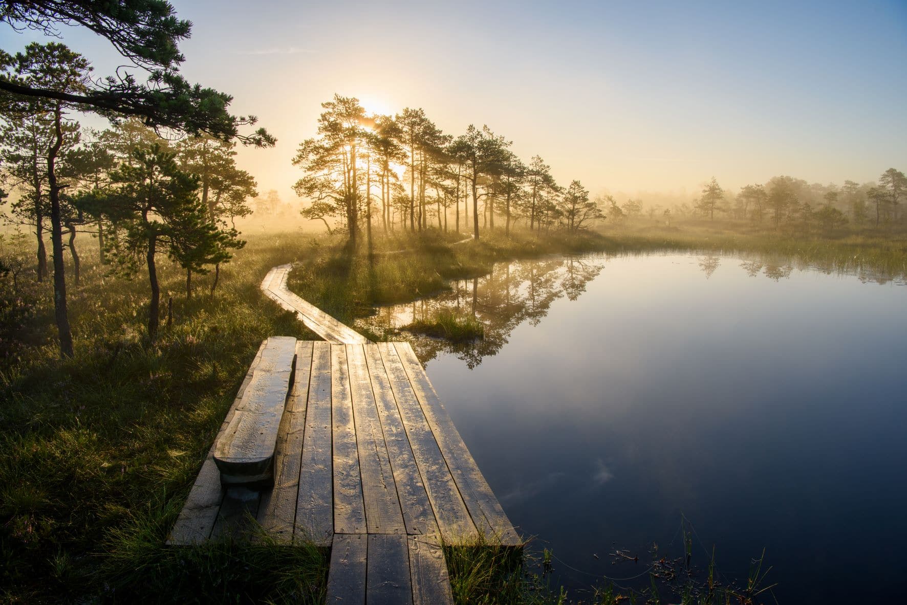 See und Steg im Soomaa Nationalpark 