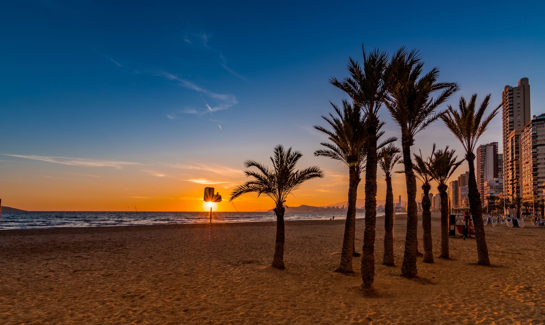 Strand in Benidorm mit Palmen