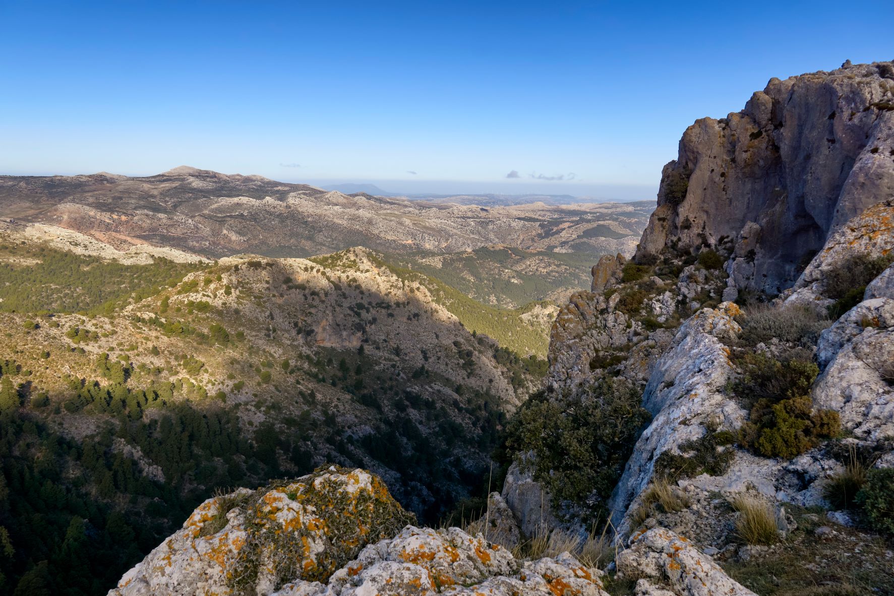 Landschaft im Naturpark Sierra de las Nieves in Andalusien