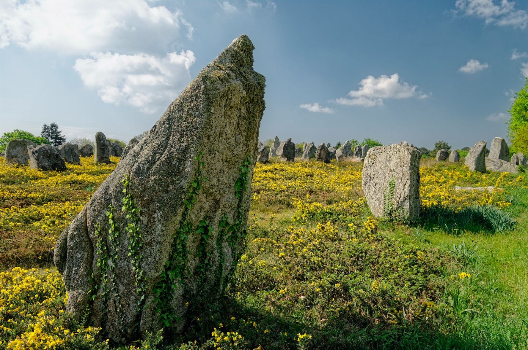Steine von Carnac, Bretagne