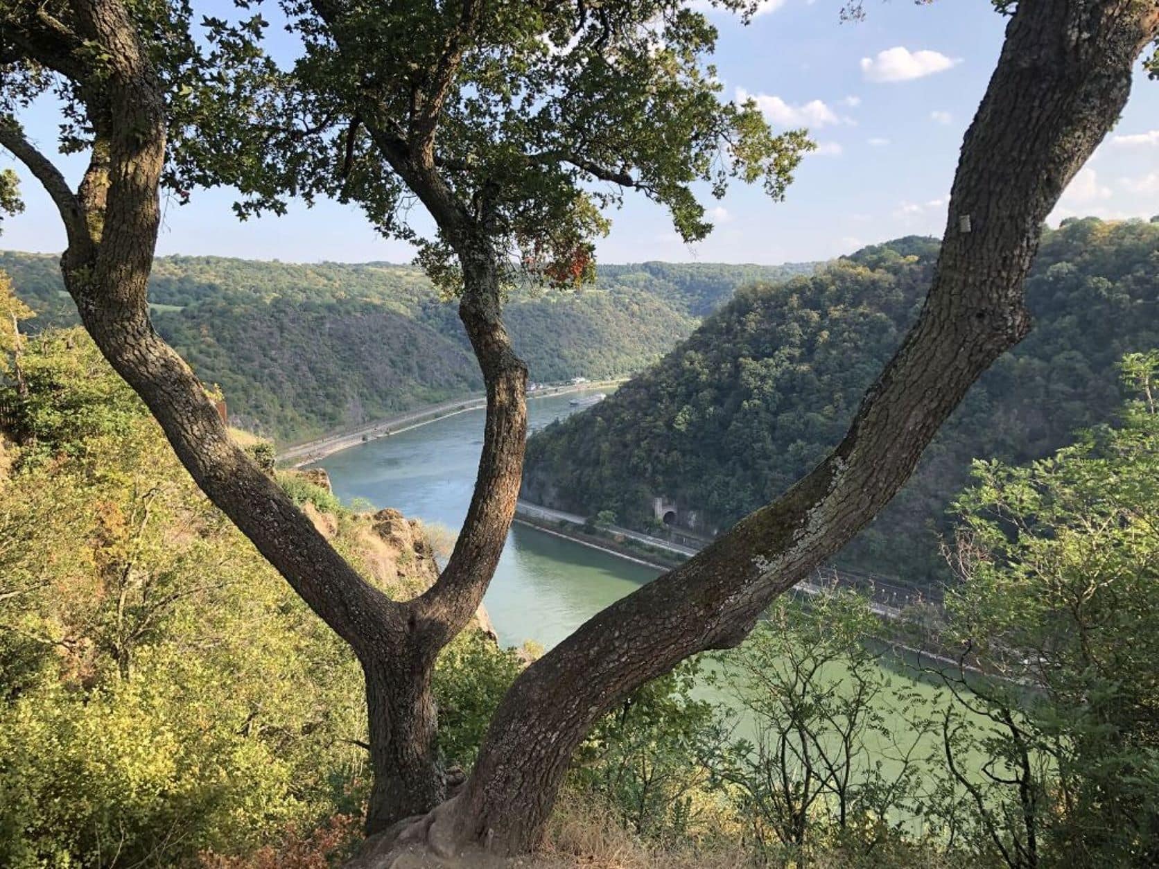 Blick auf den Rhein an der Loreley