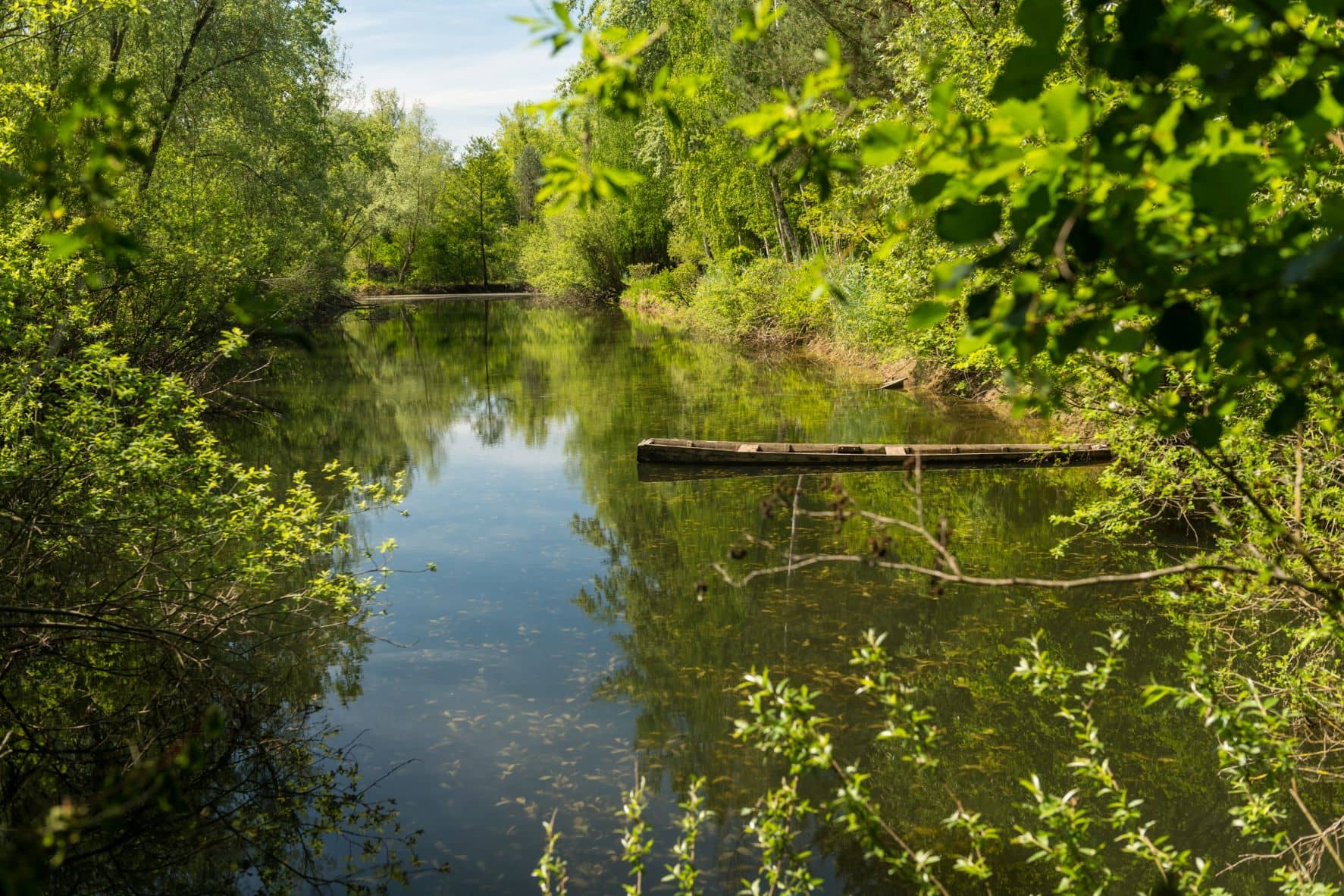 Rheinauen bei Hördt in der Pfalz
