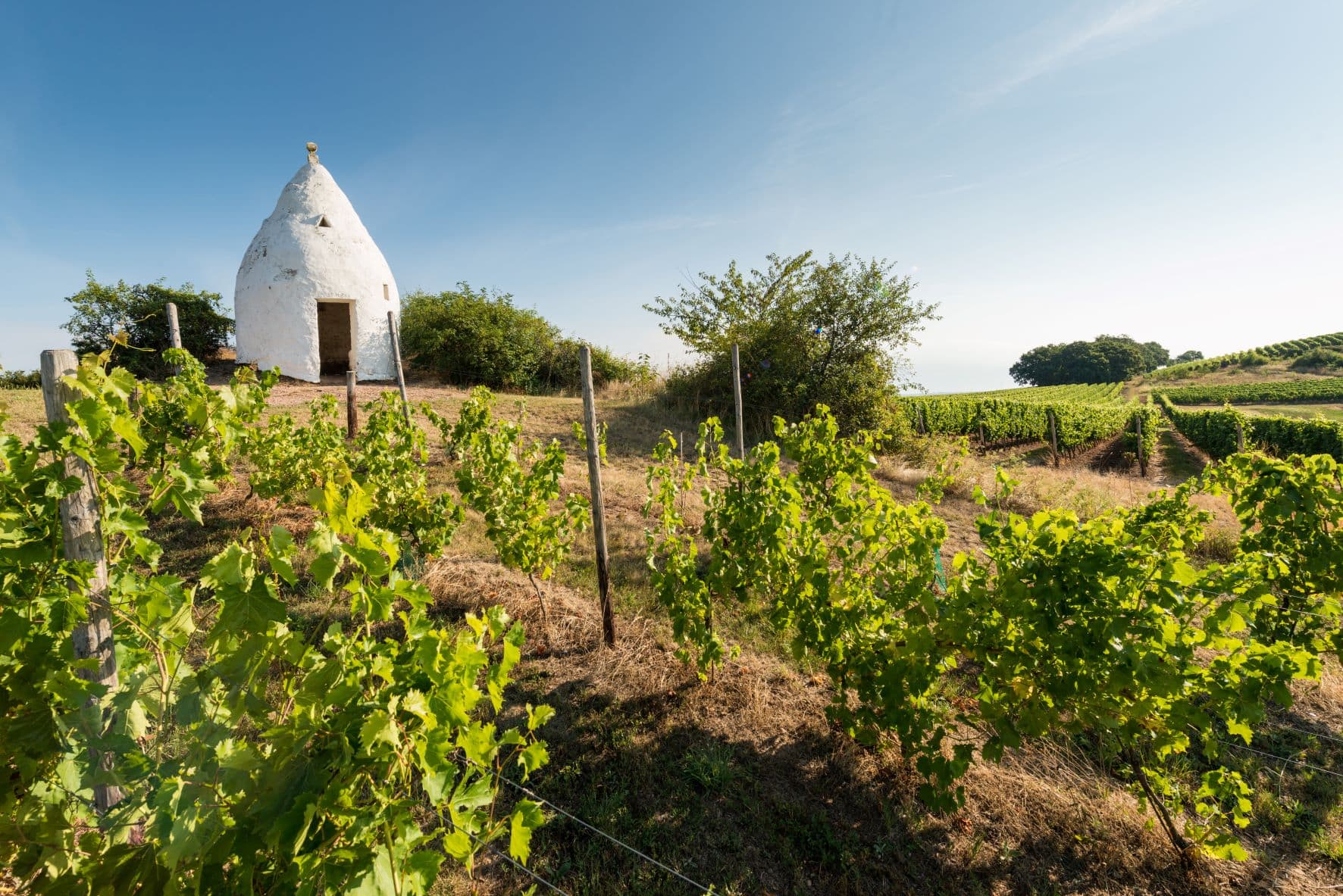 Trullo auf dem Adelberg bei Flonheim