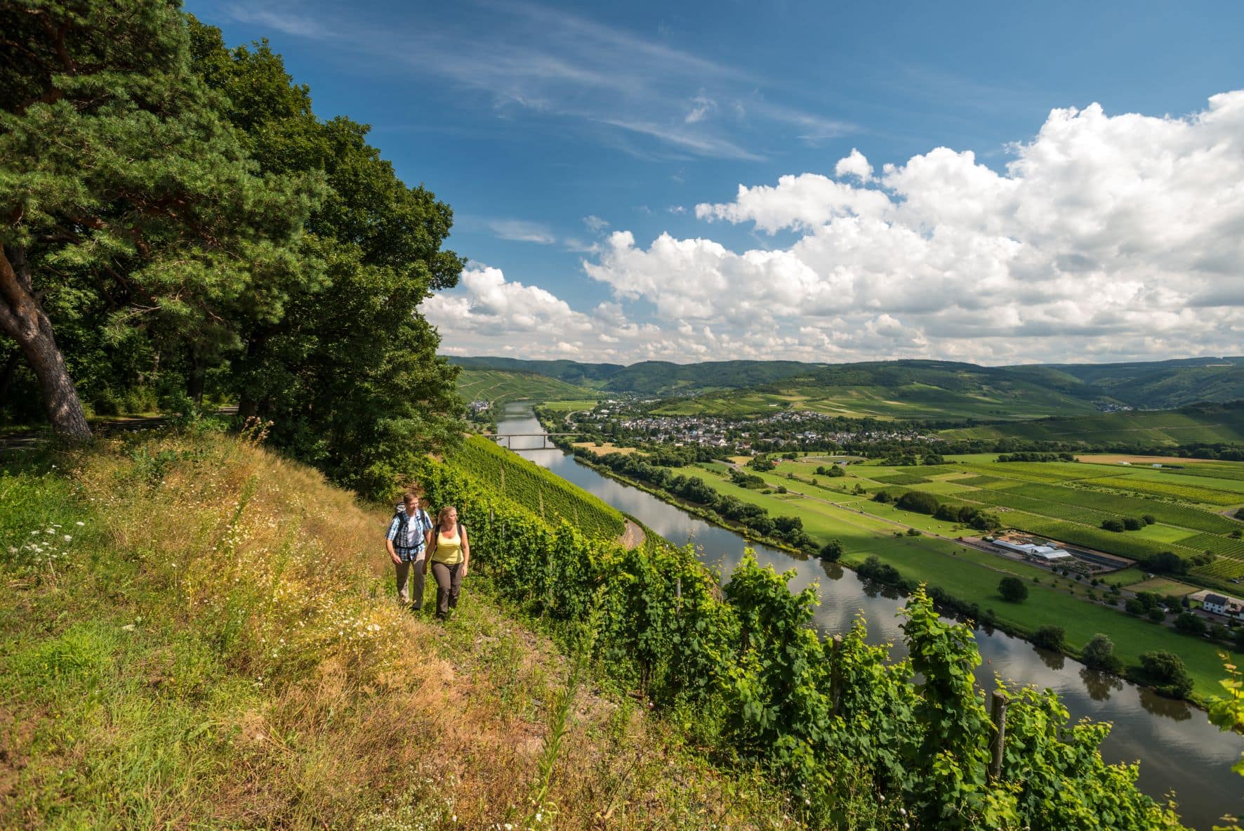 Wanderer auf dem Moselsteig
