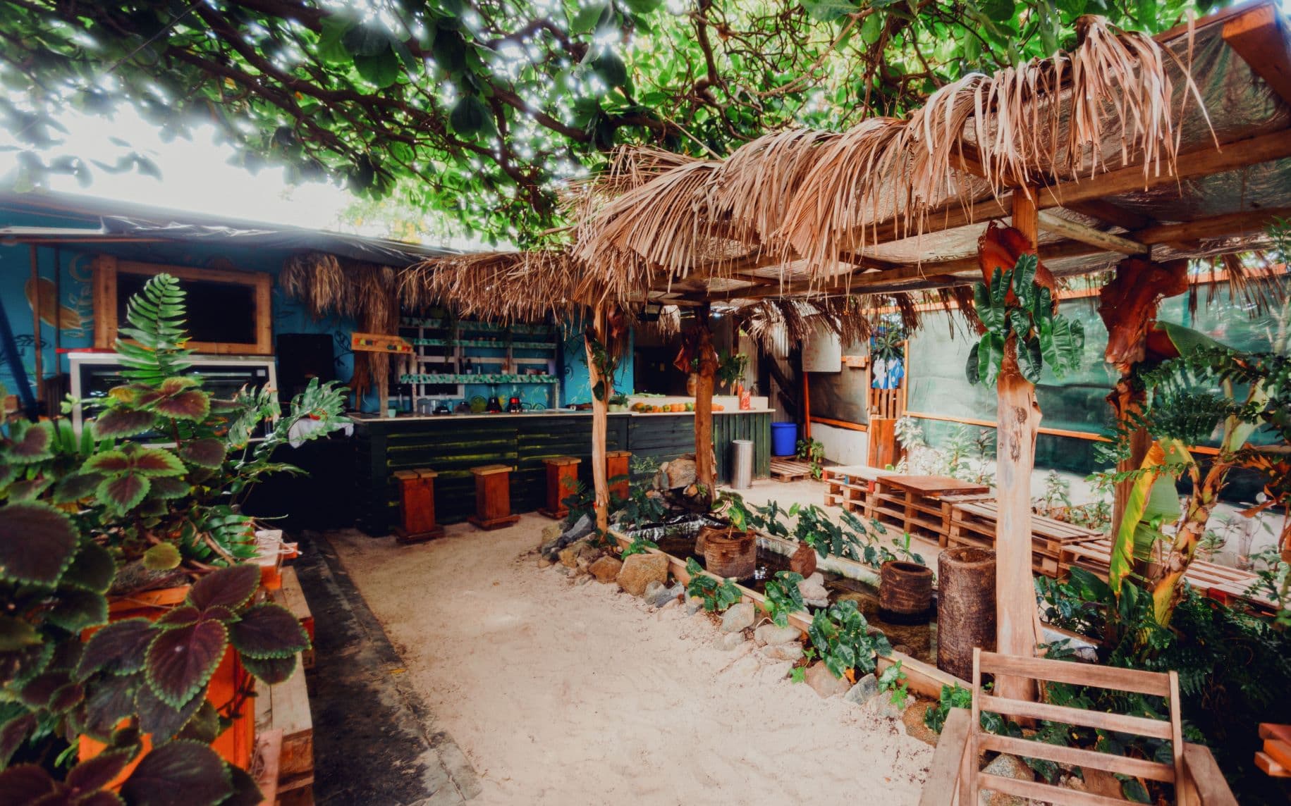 Oasis Farm auf Aruba
