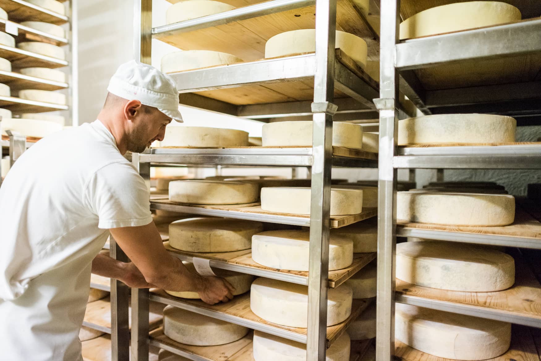 Bergkäse-Herstellung in Südtirol