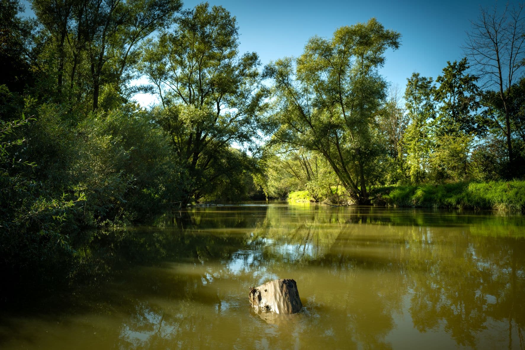 Schöne Natur in Österreich: Fluss Raab im Burgenland