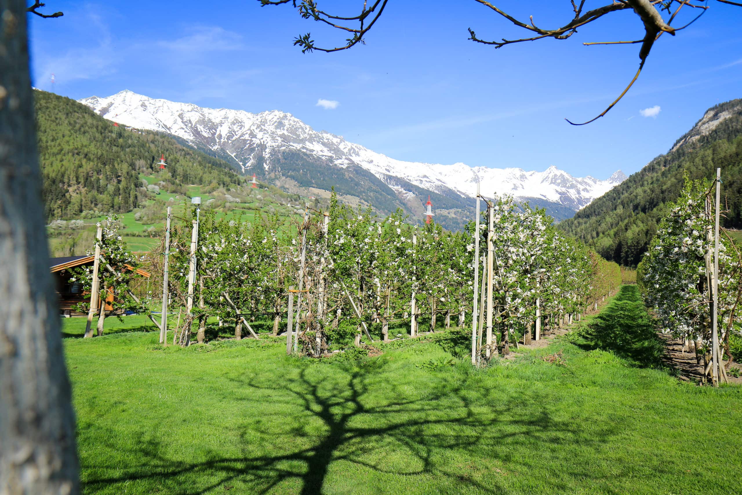 Frühling im Tiroler Oberland