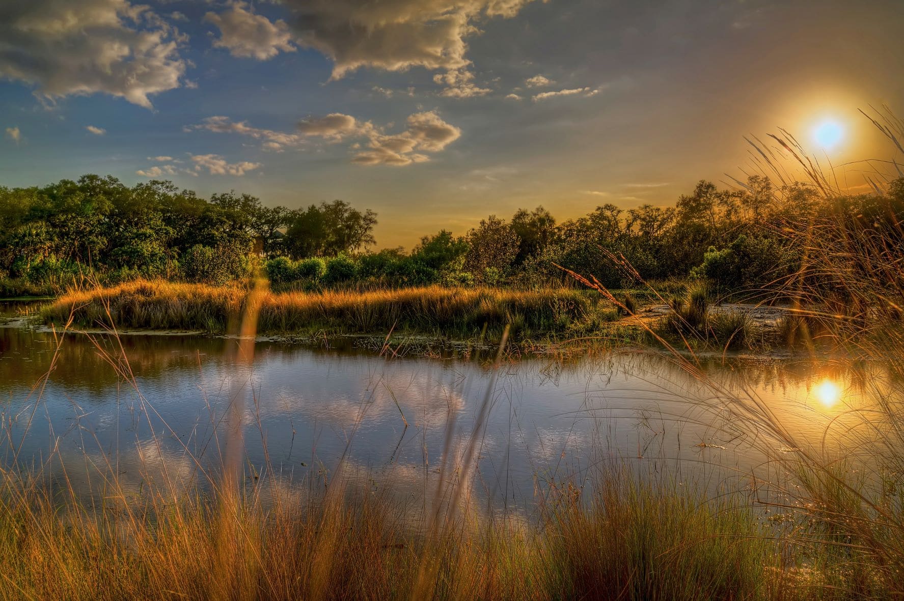Neal Preserve in Florida