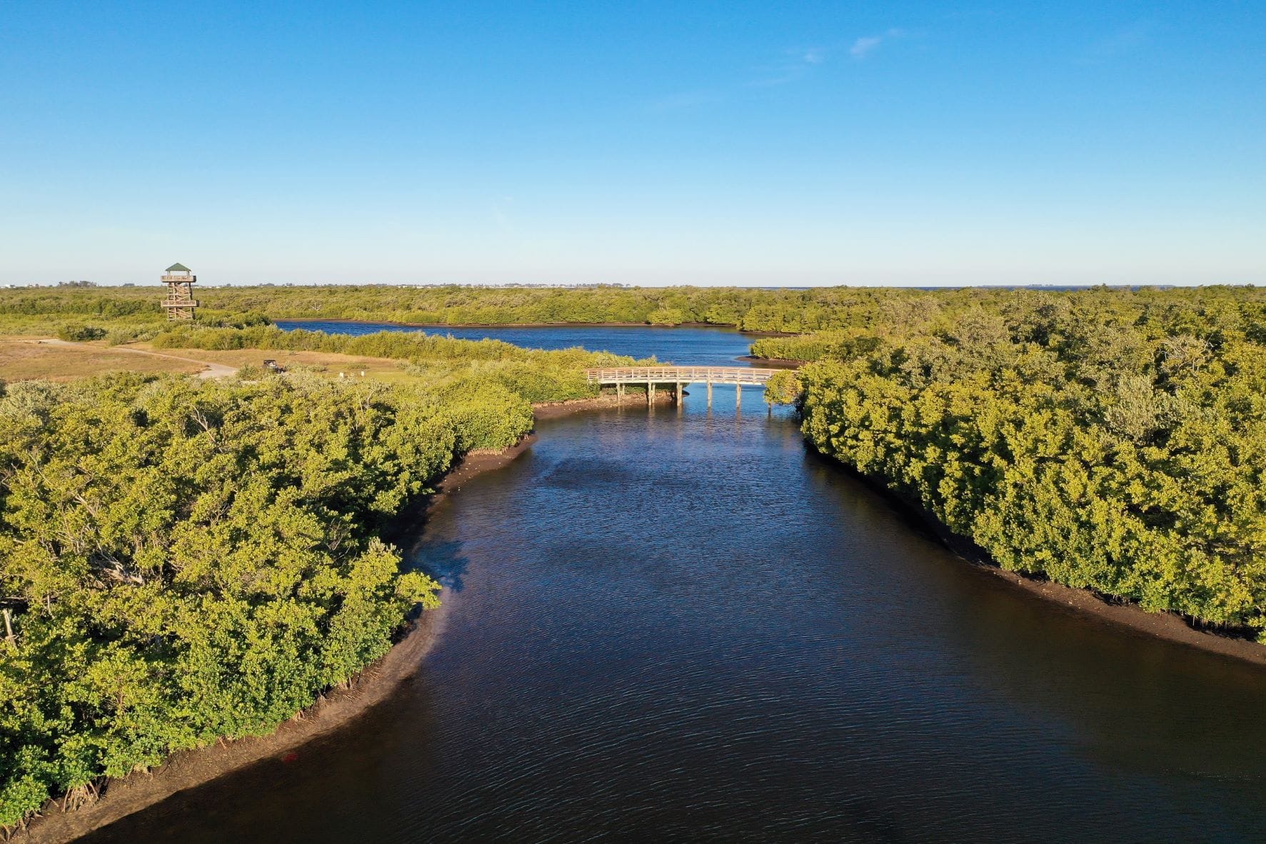 Natur im Robinson Preserve in Florida
