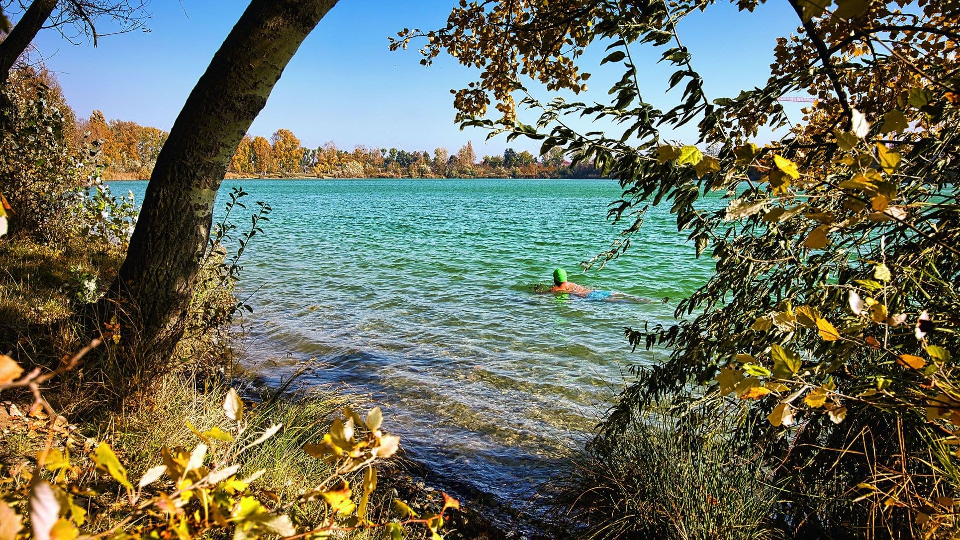Schwimmer im Hirschstetten-Teich in Wien