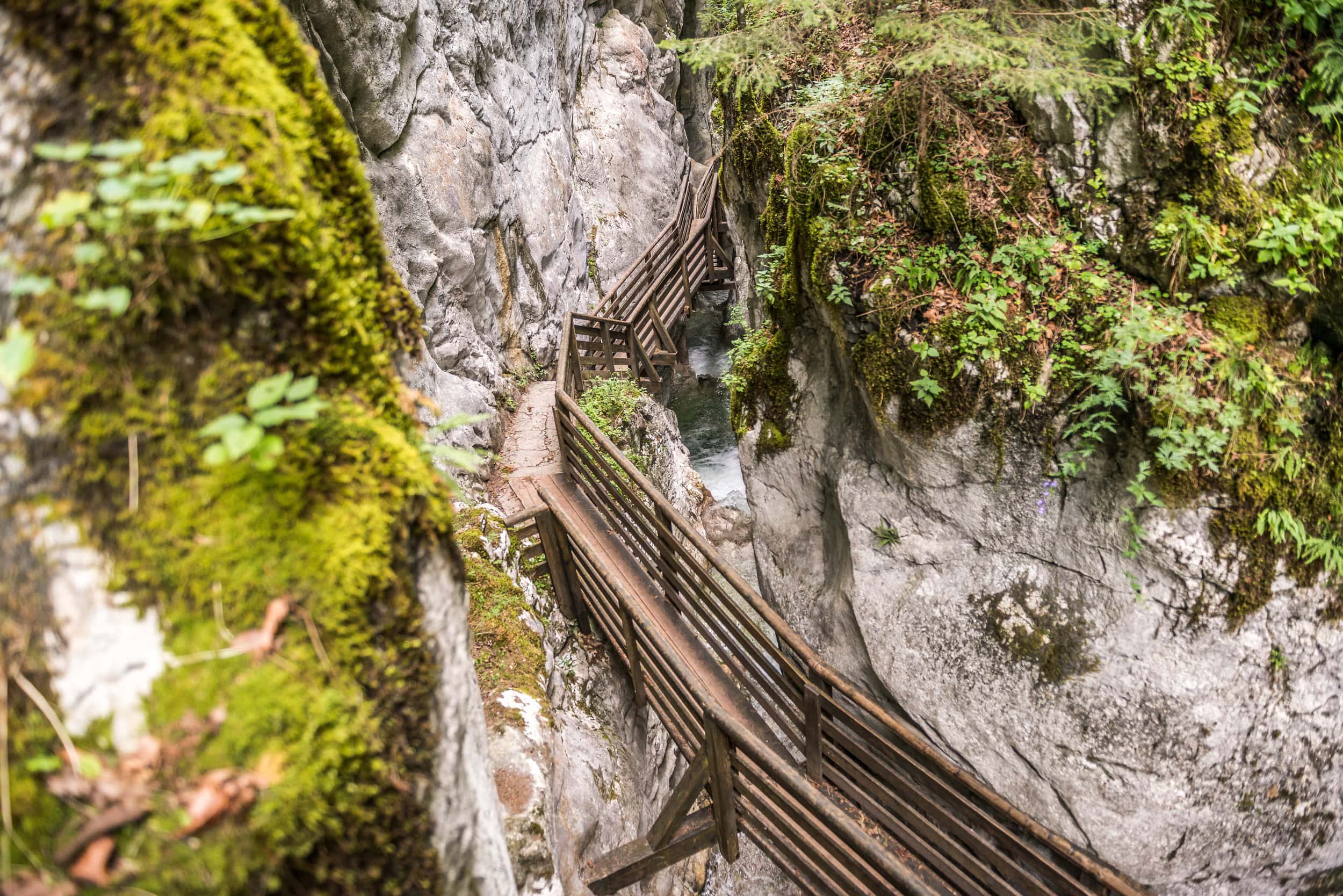 Weg in der Seisenbergklamm Weissbach bei Lofer