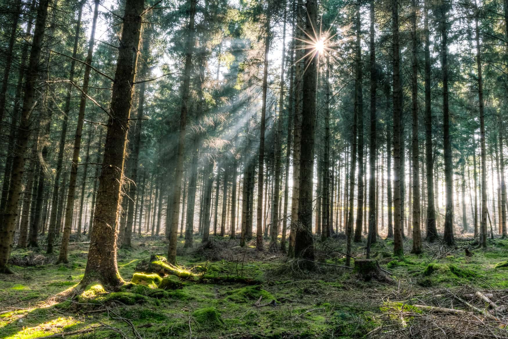 Forest of Dean ist einer der Drehorte von Sex Education