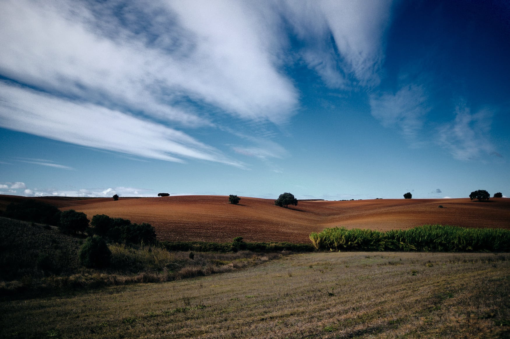 Trockene Landschaft im Alentejo