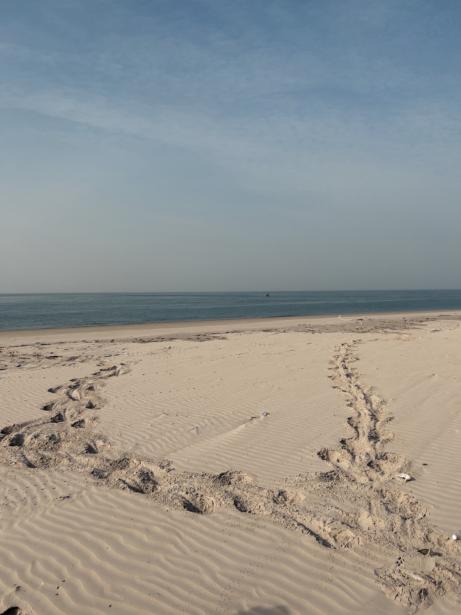 Spuren von Schildkröten im Sand