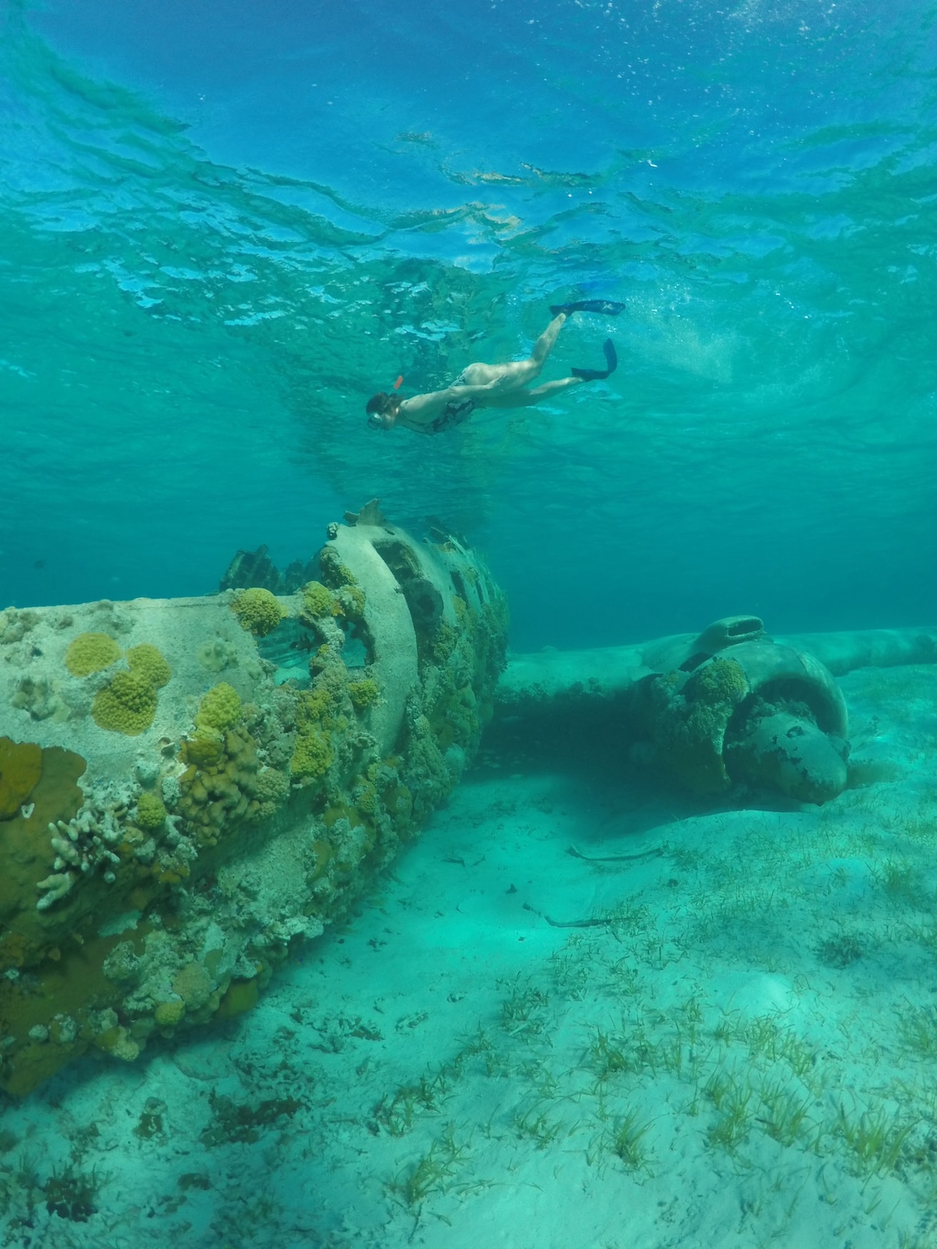 Schnorcheln beim Norman Cay auf den Bahamas