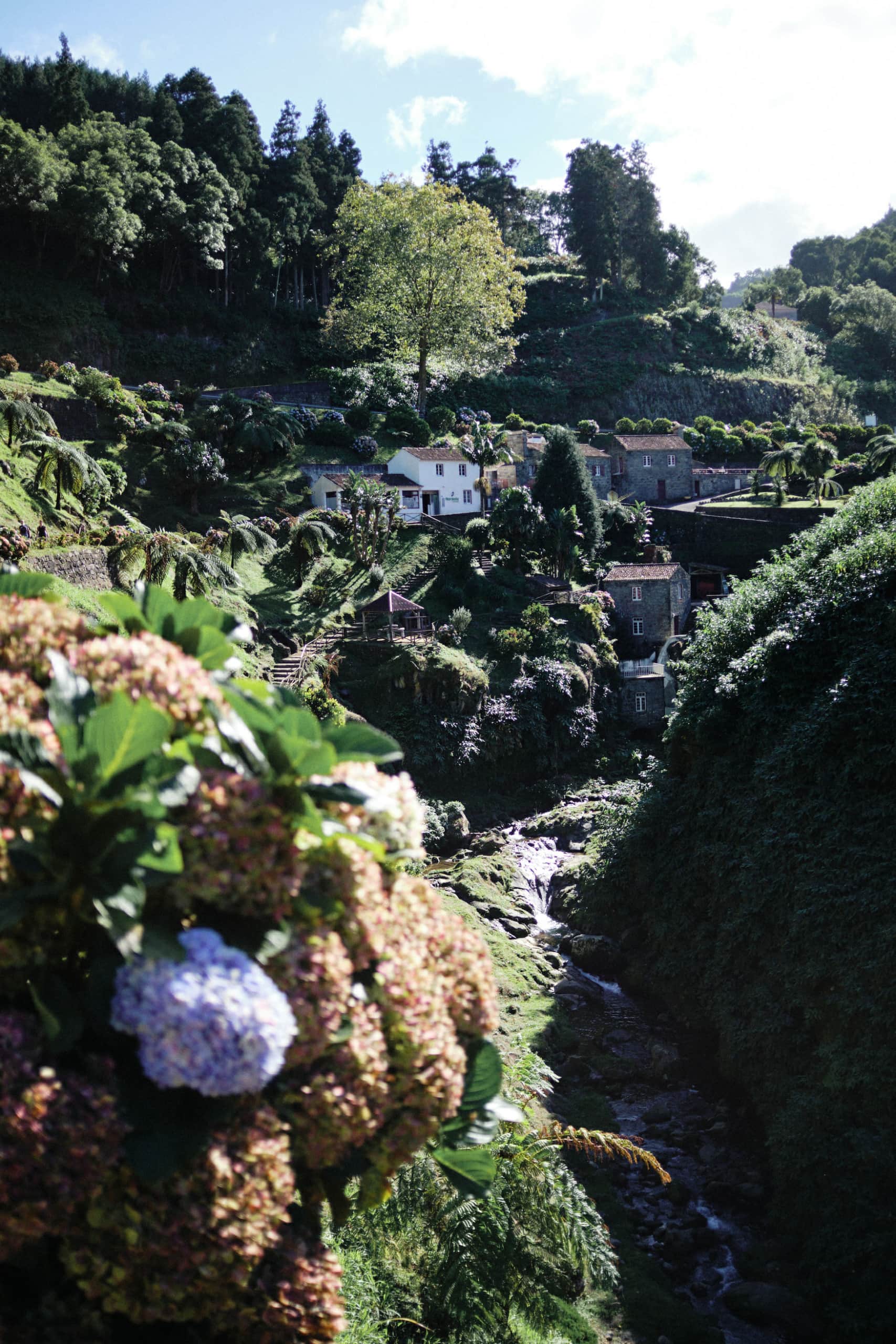 die Natur der Azoreninseln
