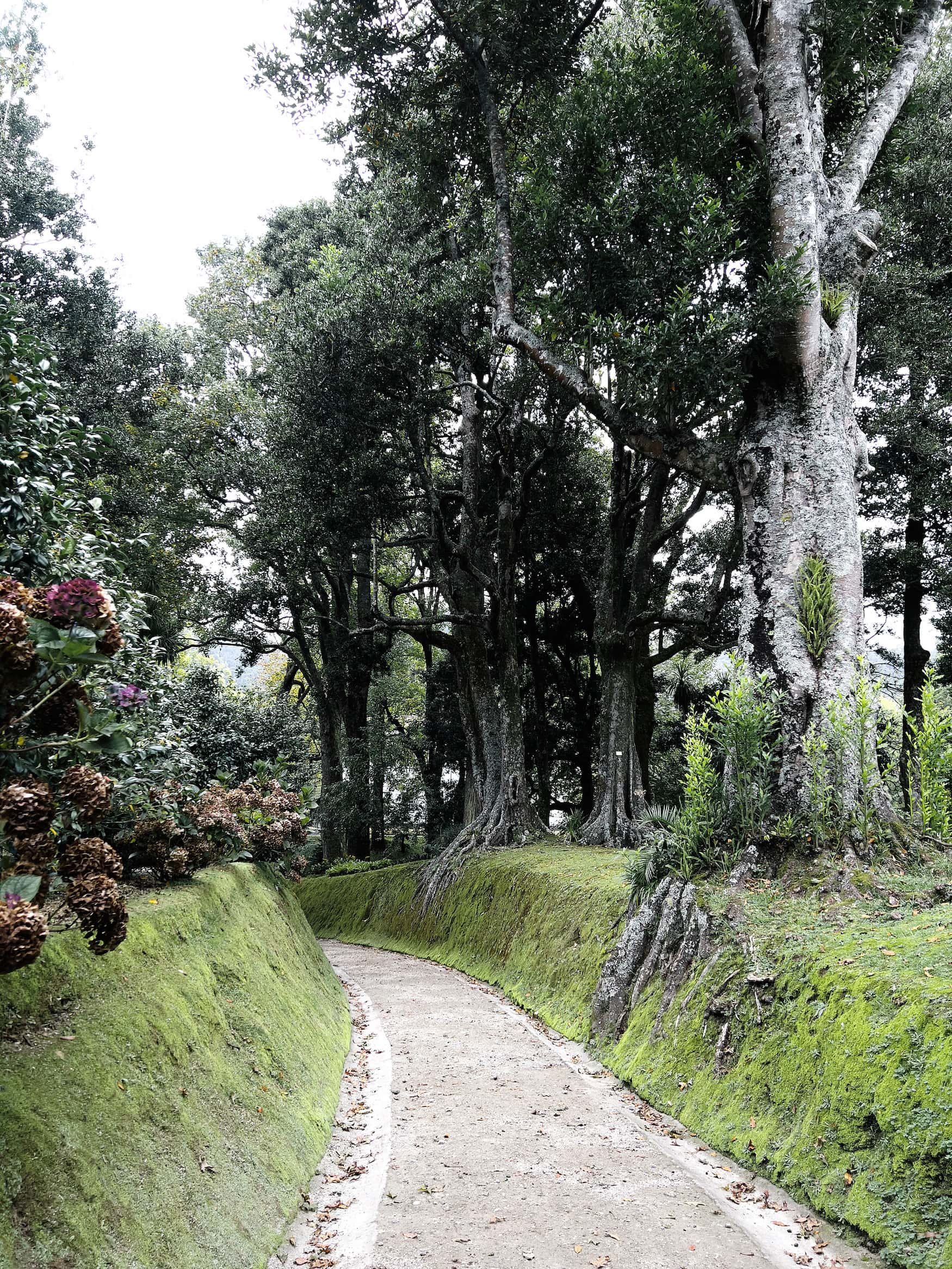 Auf Sao Miguel auf den Azoren