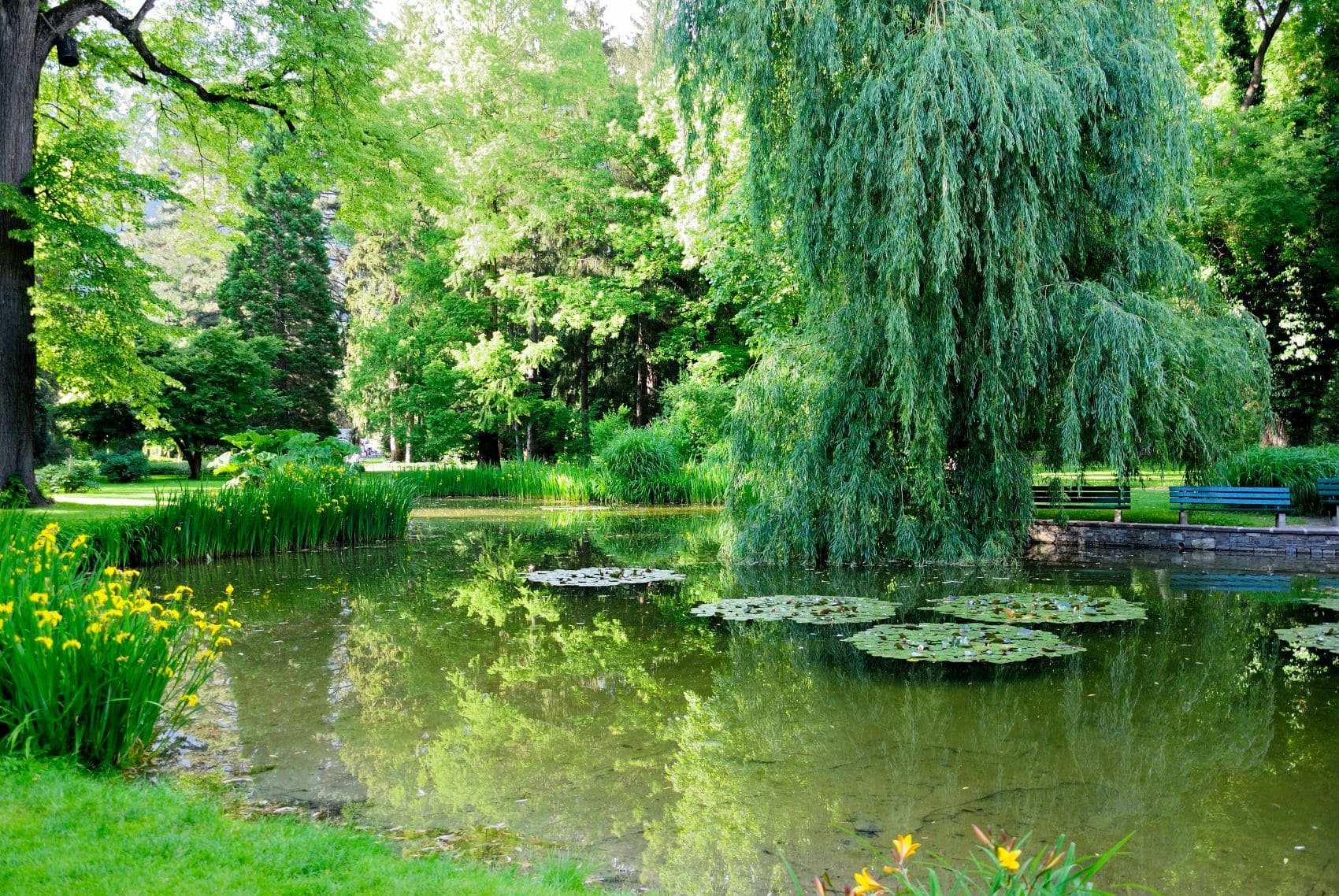 Teich im Hofgarten in Innsbruck 