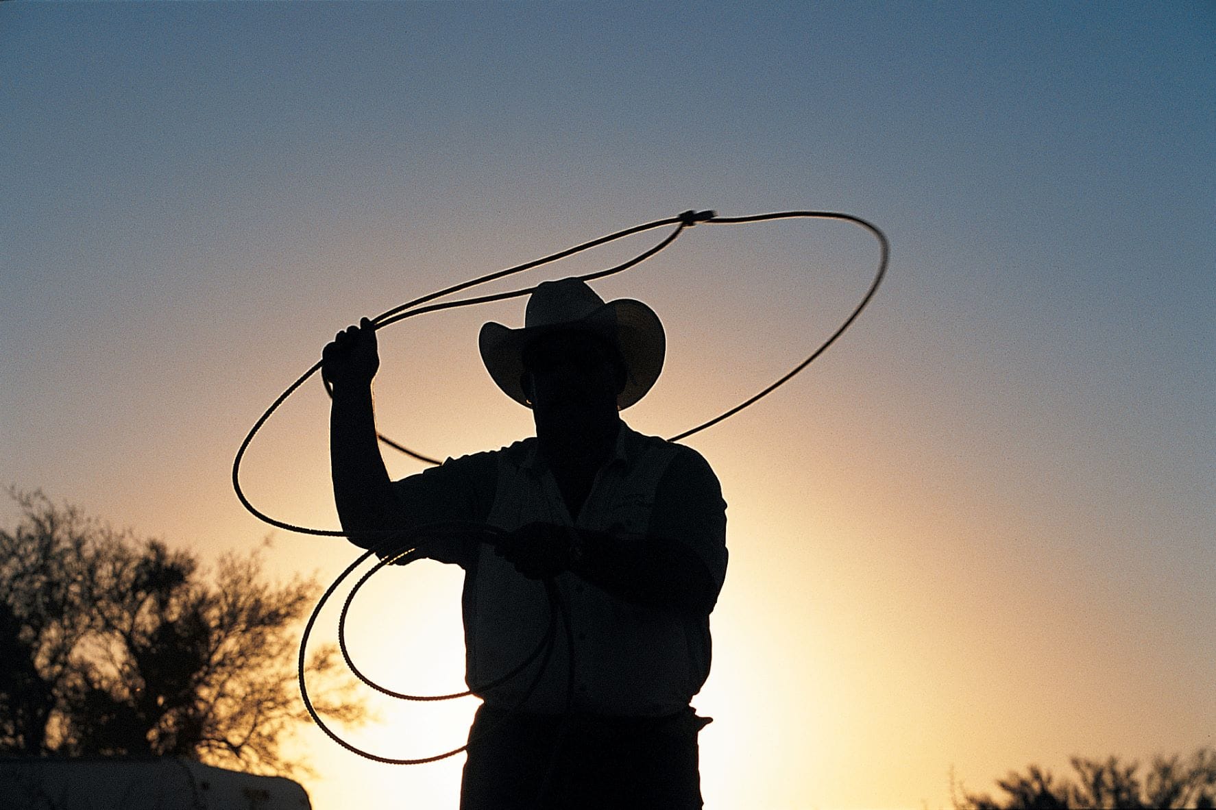 Cowboy schwingt Lasso