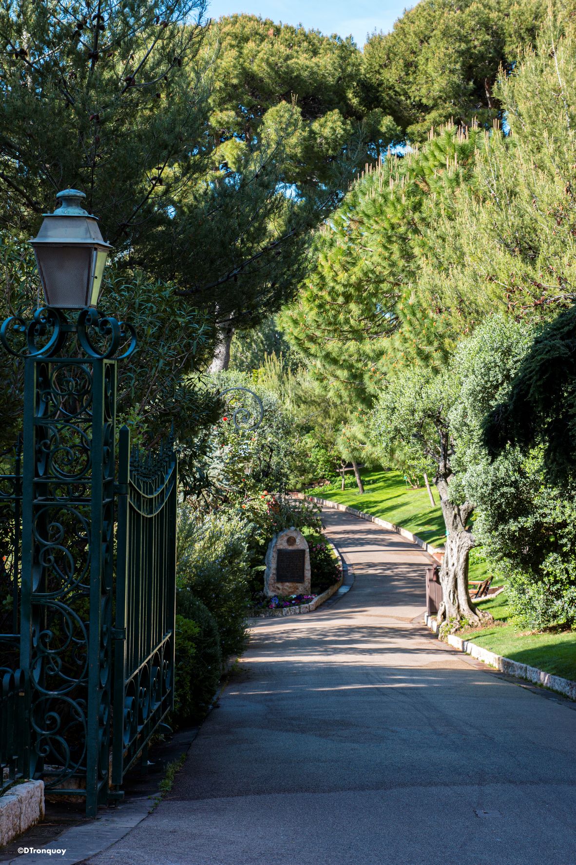 Weg im Garten St. Martin in Monaco 