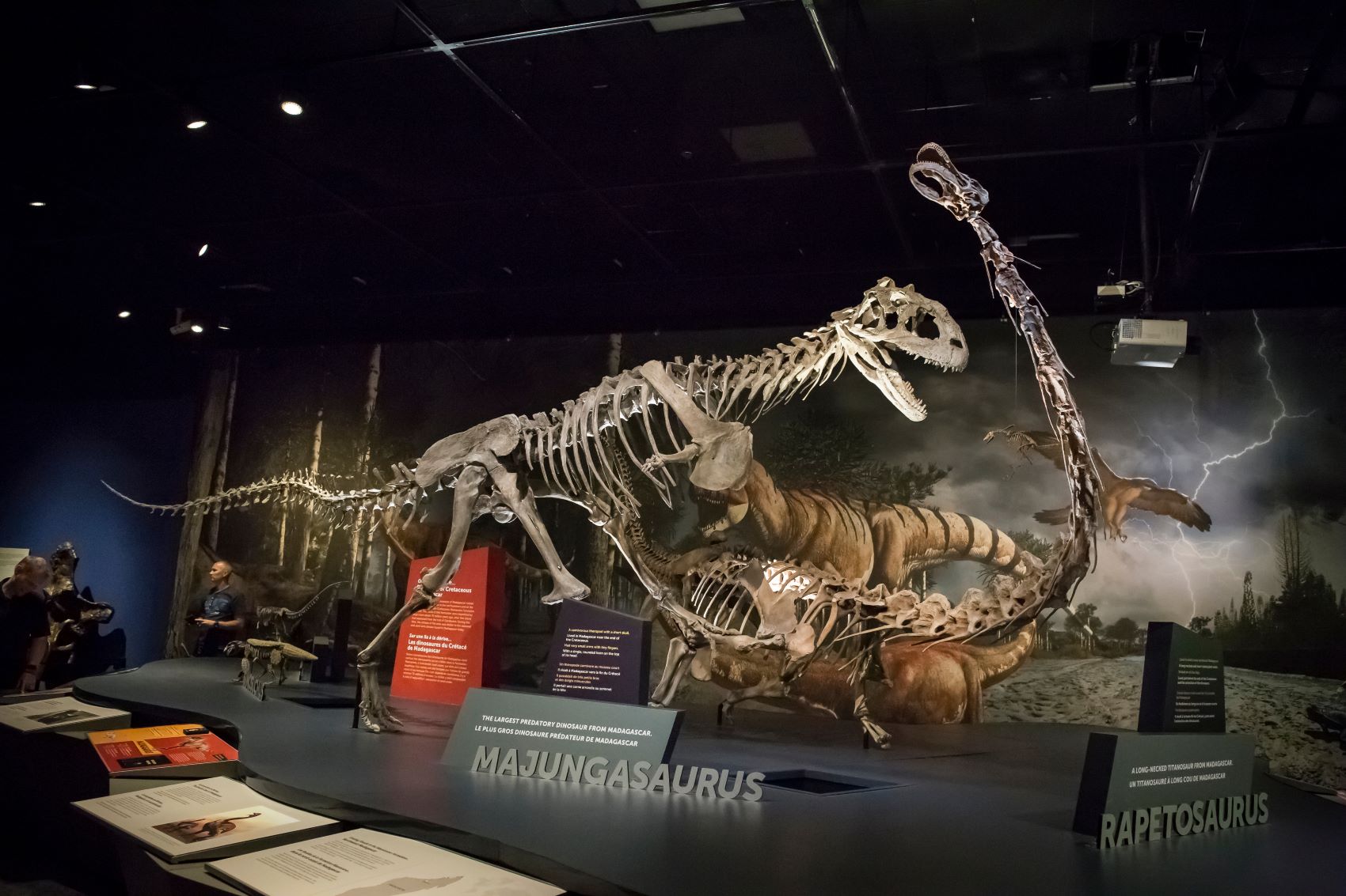 Dinosaurier-Ausstellung im San Diego Natural History Museum