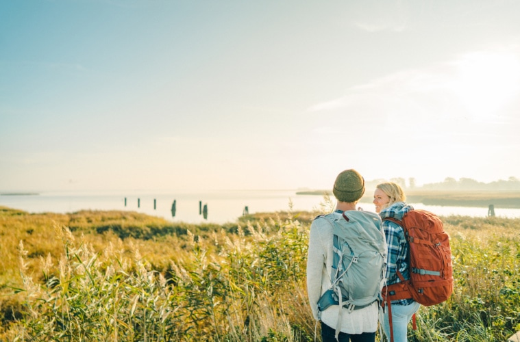 Wanderung zur Meiningenbrücke Fischland-Darß-Zingst | TMV/Petermann