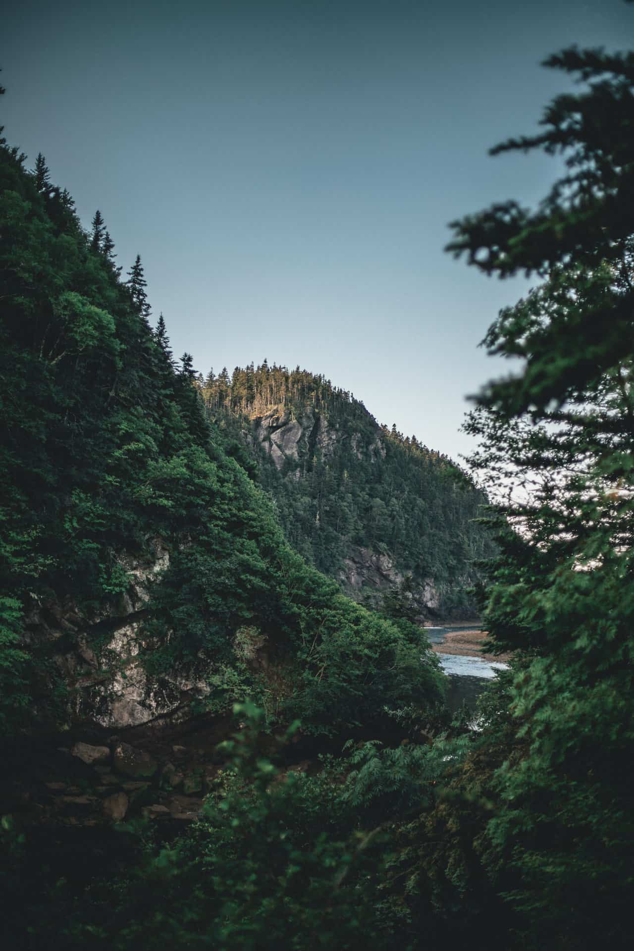 Fundy National Park in New Brunswick