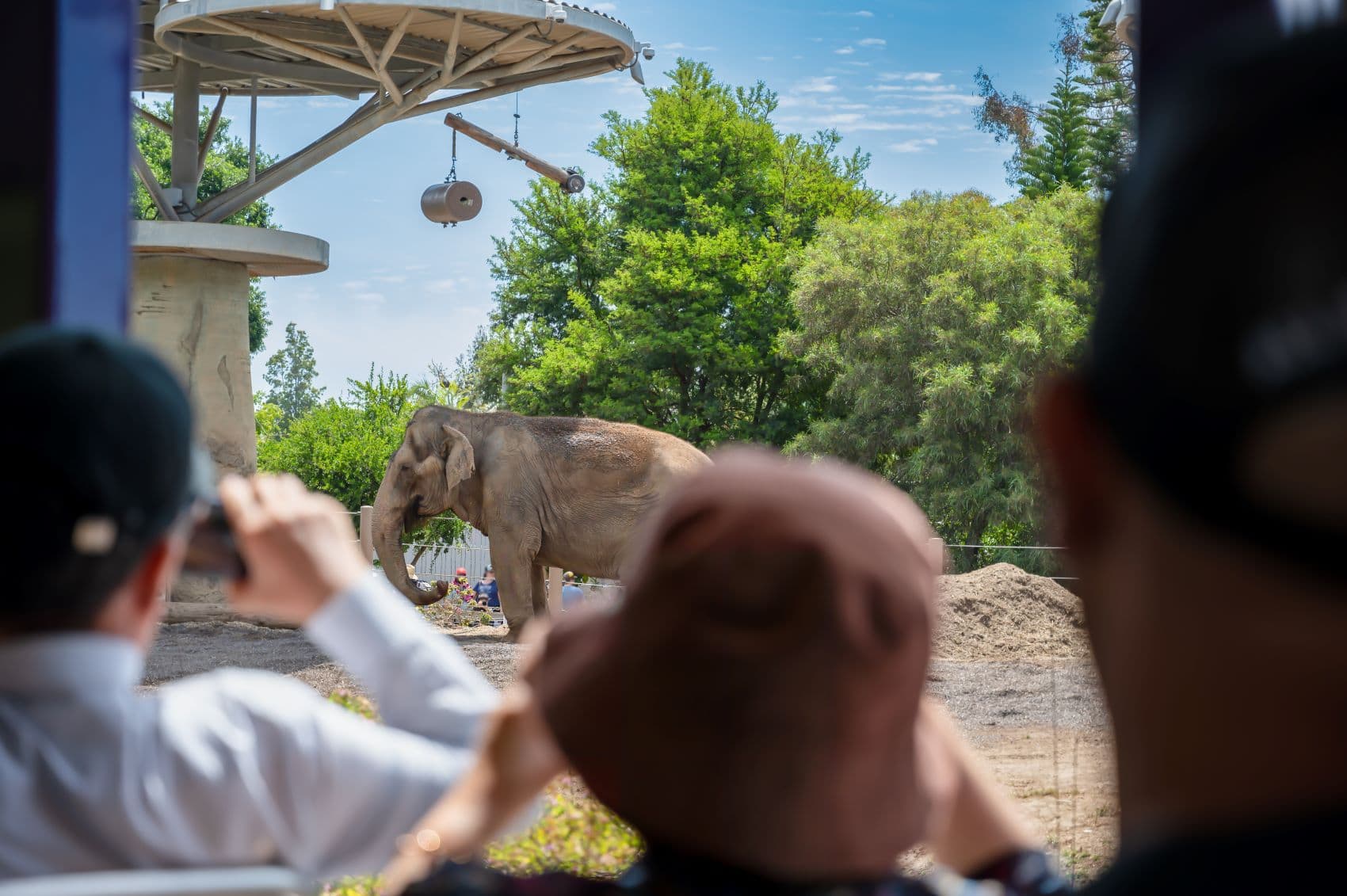 Besucher vor Elefantengehege im San Diego Zoo