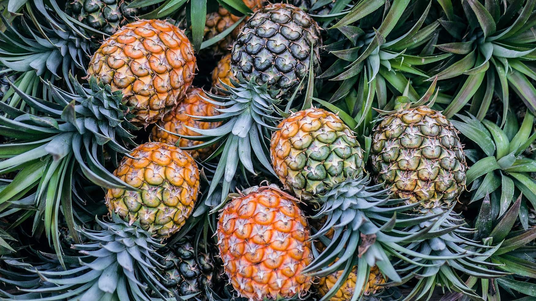 ein Haufen Ananas