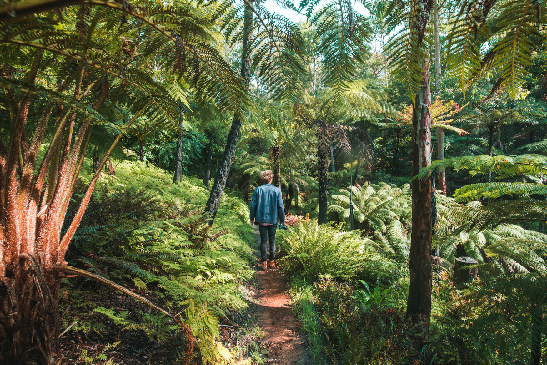 Botanic Garden in Adelaide