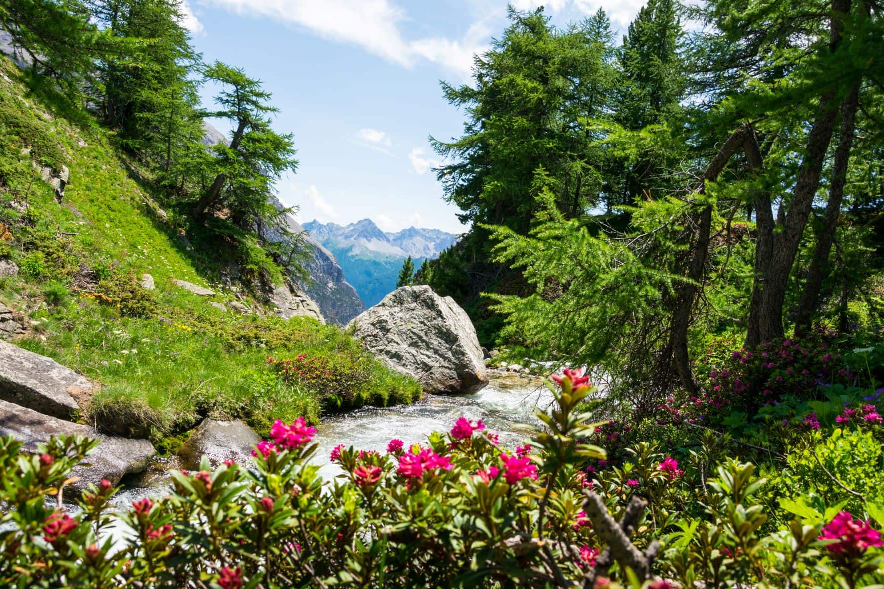 Vallée de la Clarée