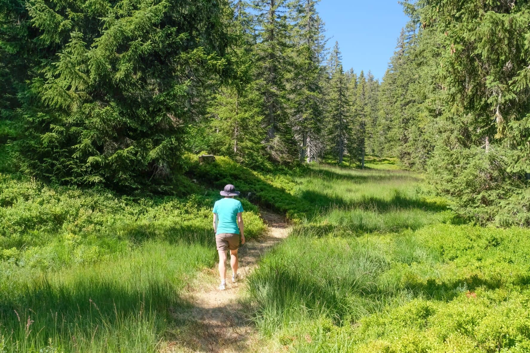 Frau wandert im Naturschutzgebiet La Tourbriere in den französischen Alpen 