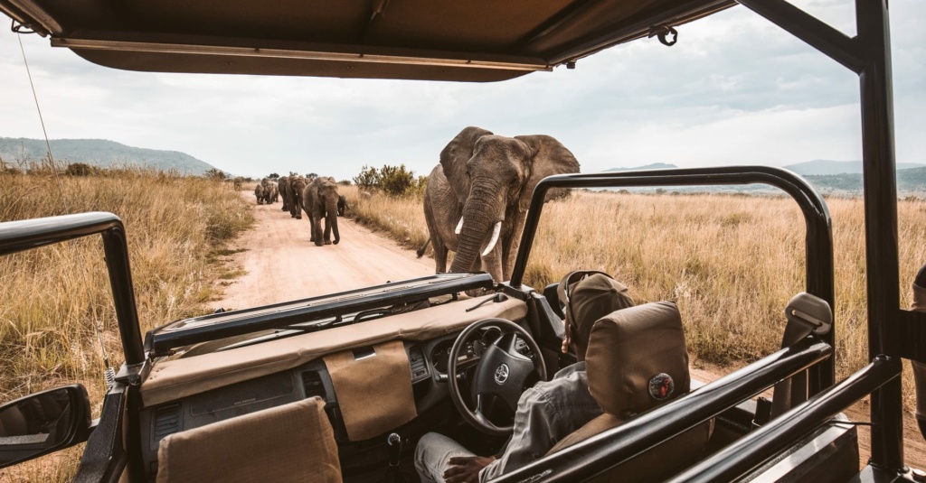 Safari-Jeep und Elefanten in Afrika