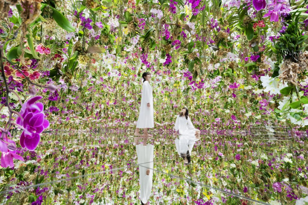 teamLab Planets in Tokyo