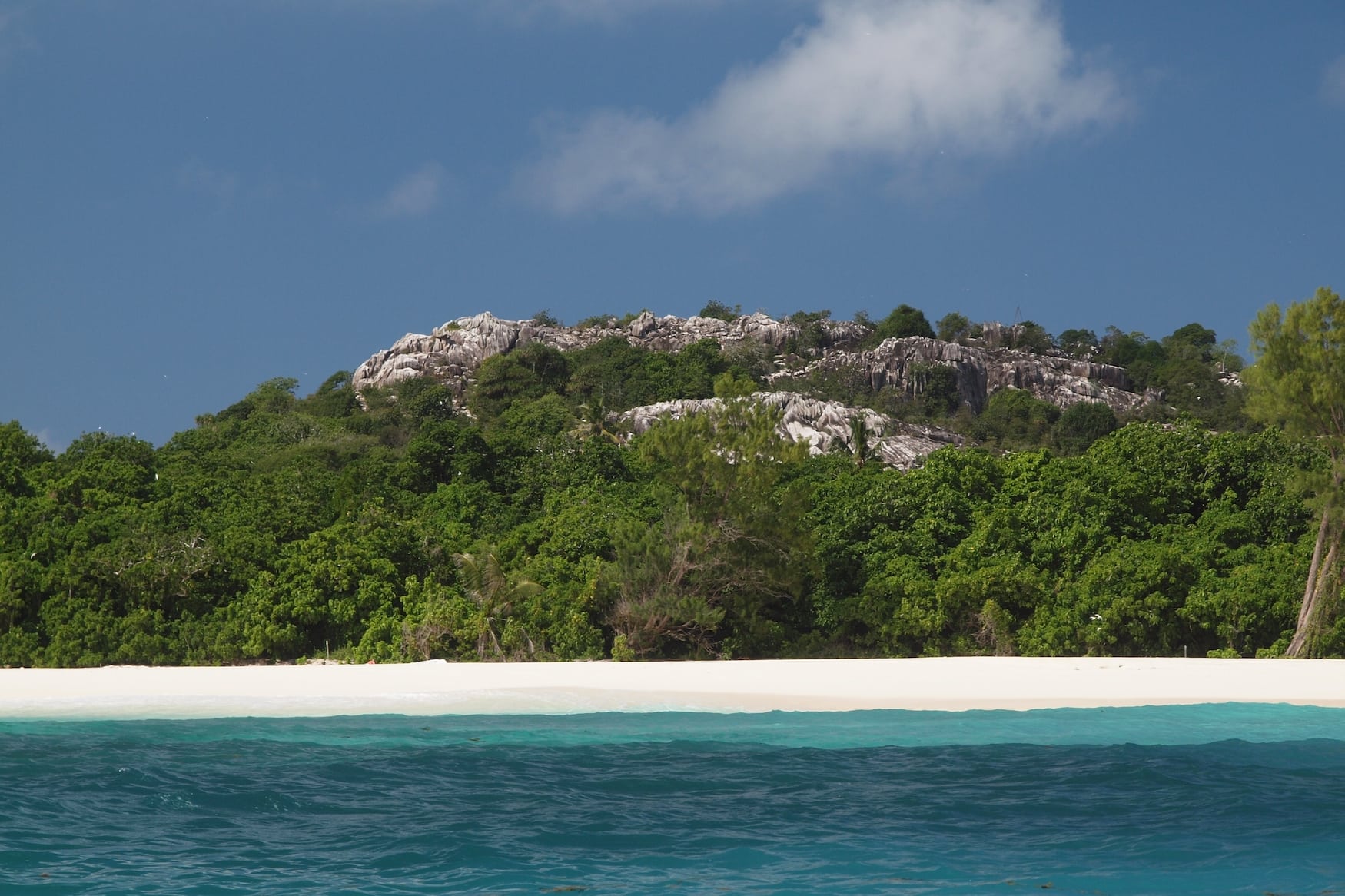Cousin Island auf den Seychellen