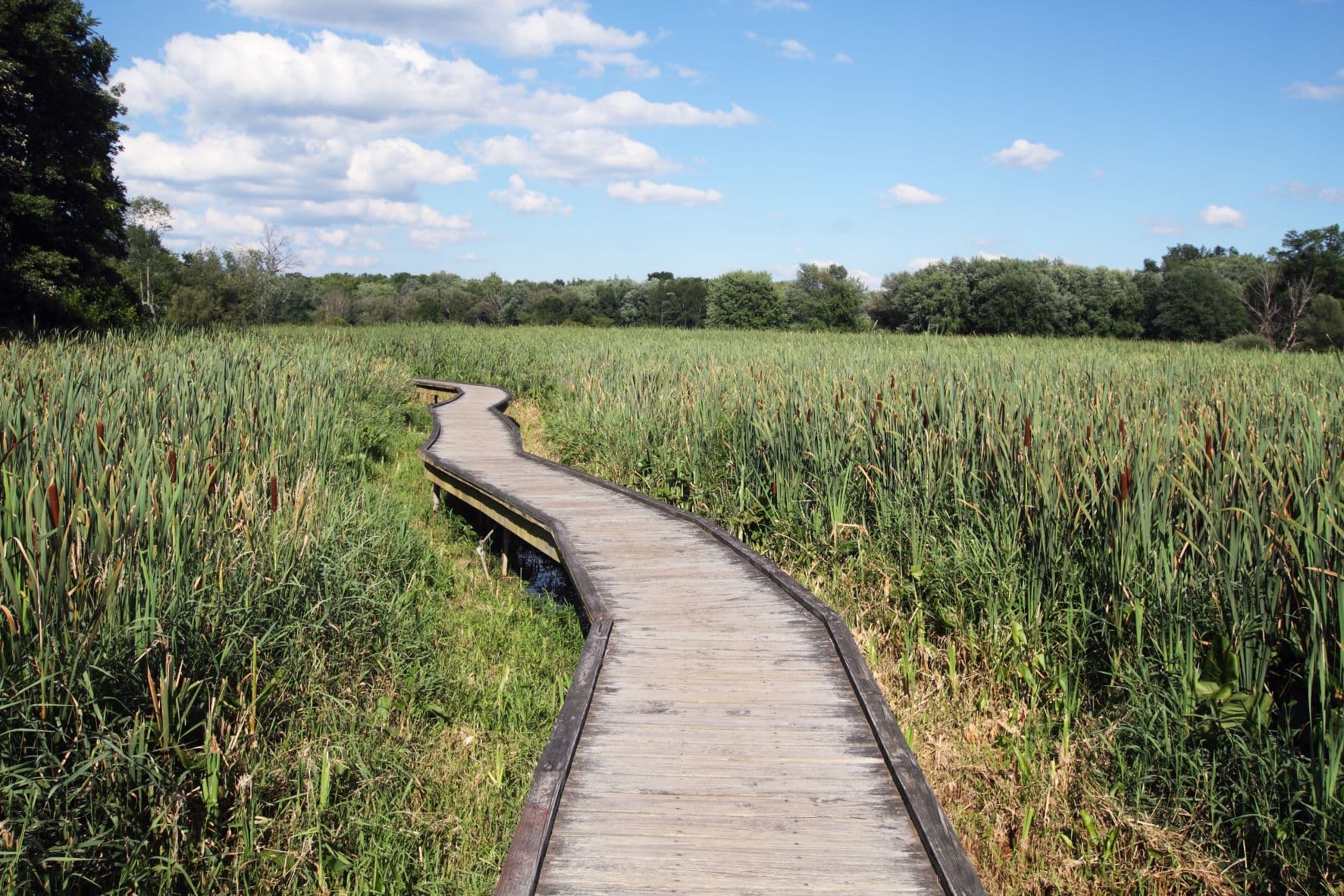 Appalachian Trail in Vernon, New Jersey