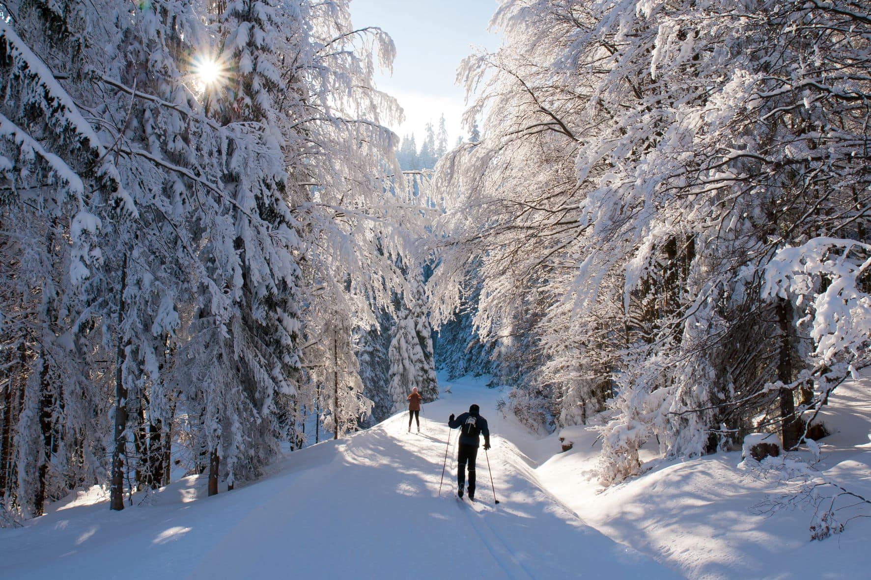 Skipass teurer: Alternative Skilanglauf im Wald