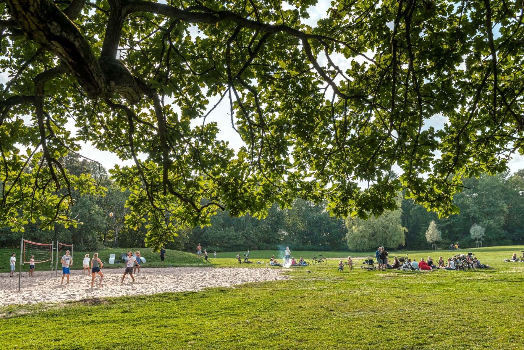 Volleyballplatz und Wiese im Slottsskogen Park Göteborg 