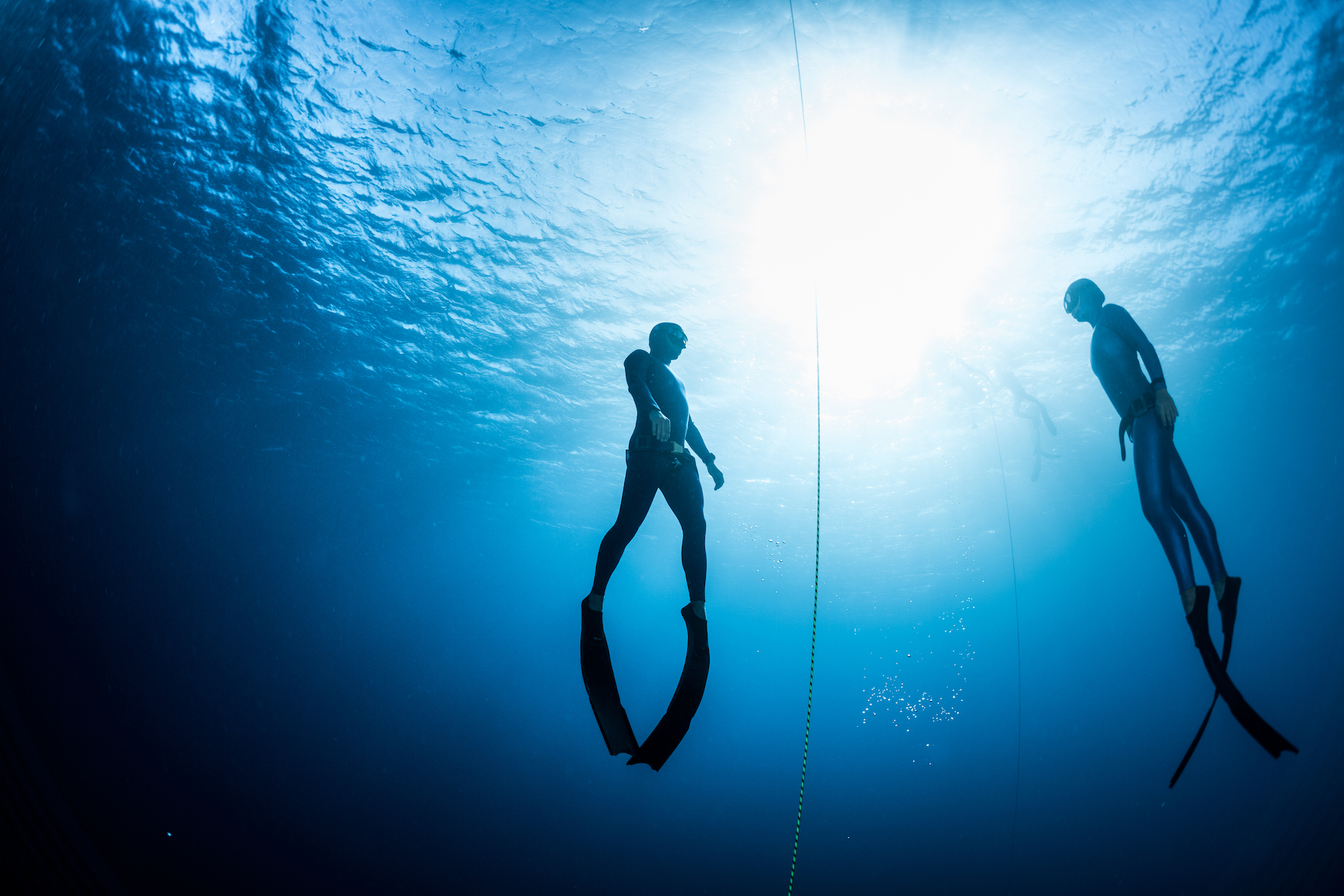 zwei Apnoetaucher im Wasser