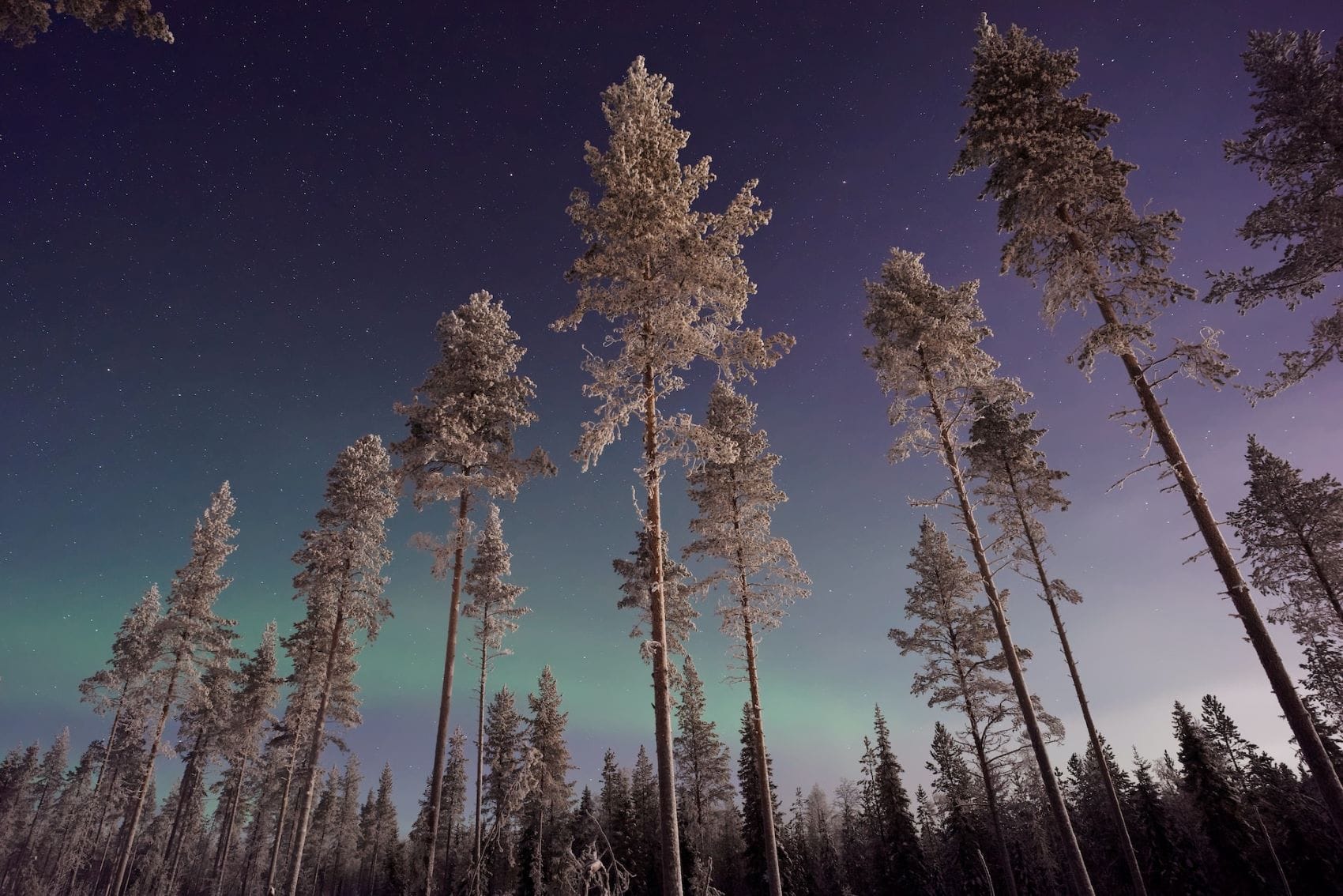 Winterlandschaft mit Nordlichtern in Finnisch Lappland