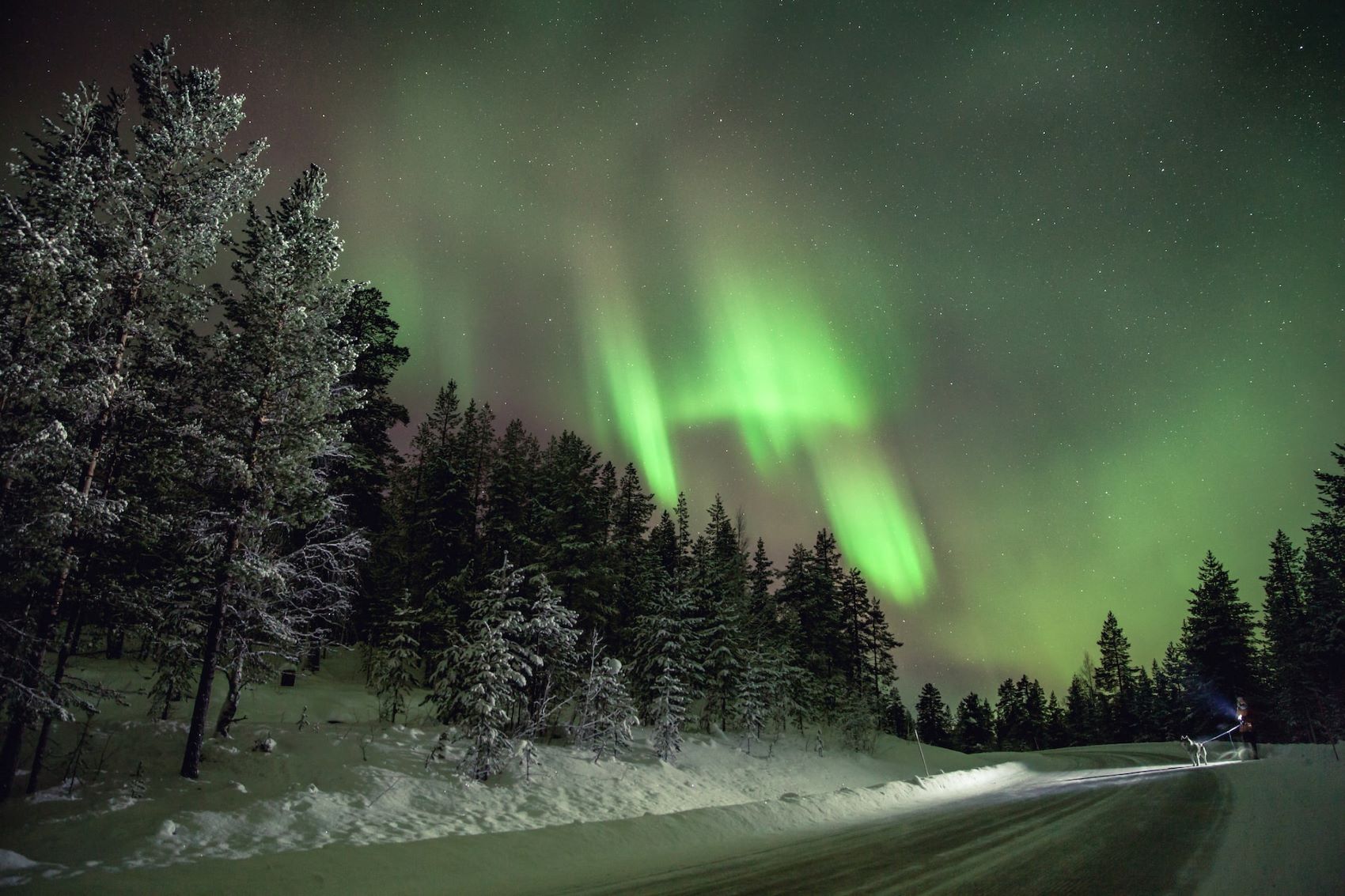 Spaziergänger mit Hund im Winter auf Straße in Finnland, Aurora Borealis