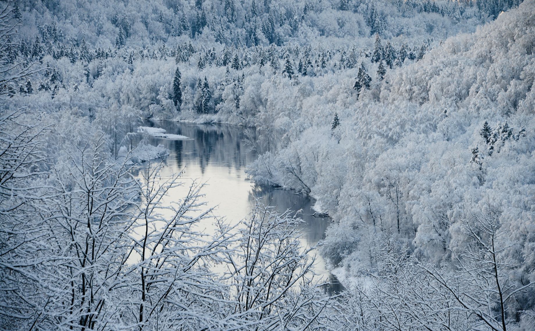 Winterlandschaft im Gauja Nationalpark in Lettland