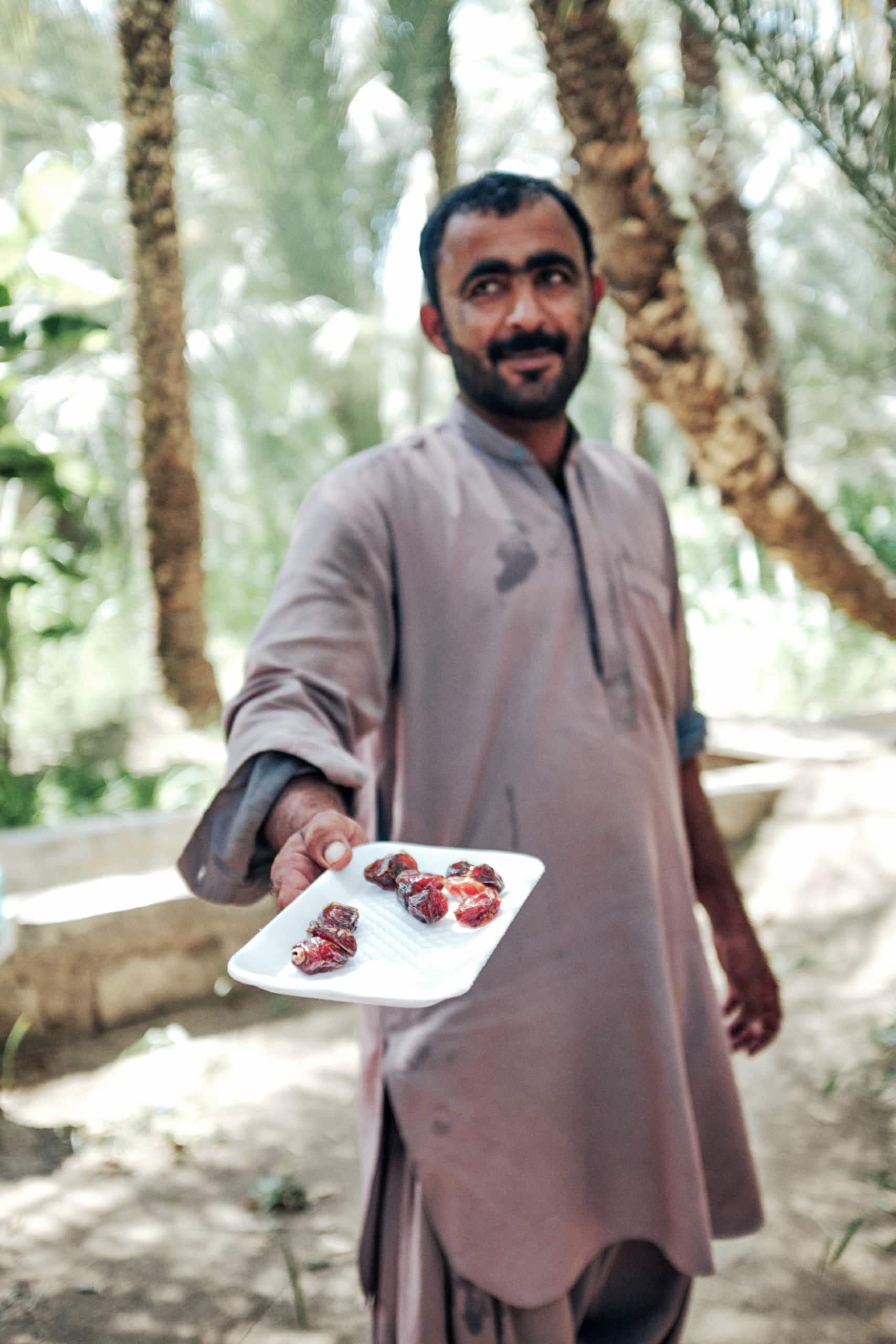 frische Datteln in Al-Ain