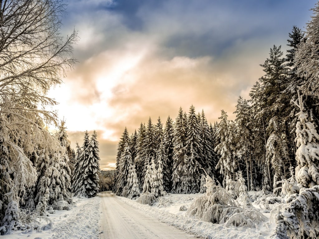 Winterlandschaft im Wald