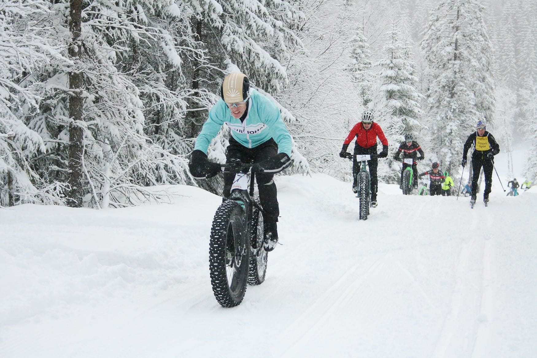 Farbigen in Värmland in Schweden im Winter